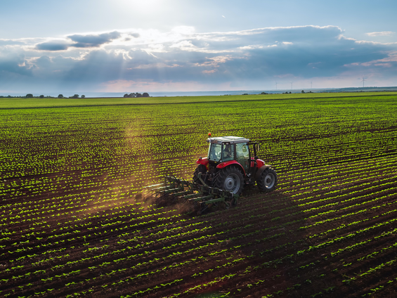 Ekonomik Büyüme Neden Tarım Sektörünü Kurtaramıyor?