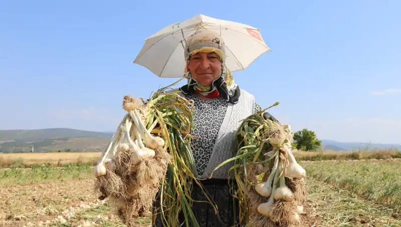 Kavurucu Sıcaklarda İstikrarlı Gelir: 1.200 TL Kazananlar