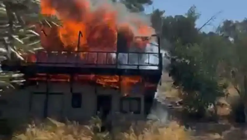 Bodrum'da Yangın Panik Yarattı: Ekipler Seferber Oldu