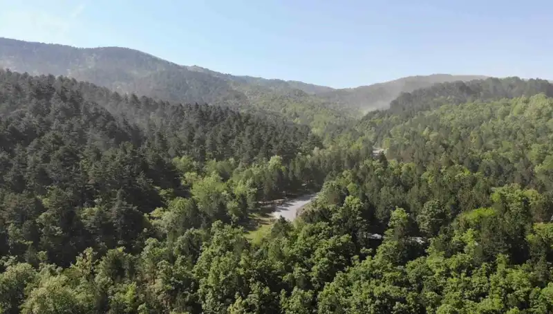 2025 Yılında Orman Girişi Yasaklanan İller: Hangi Bölgeler Belirli?