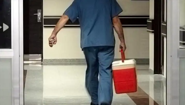 Organ Bağışında Devrim: e-Devlet ve e-Nabız ile Hızla Bağış Yapın