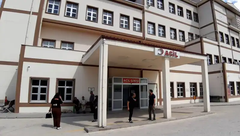 Bolu'da Tartışmalı Ayı Avı Kararı: Doğa Koruma mı, İhtiyaç mı?