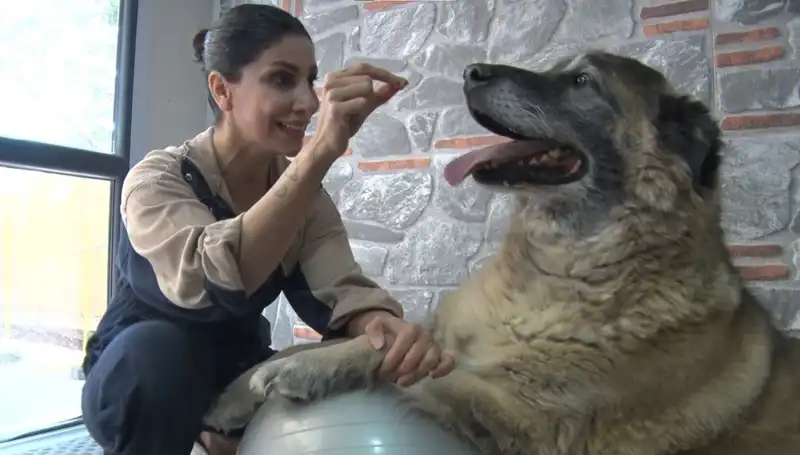 Obezite ile Savaş: Duman'ın Zayıflama Hikayesi ve Başarılı Yöntemler