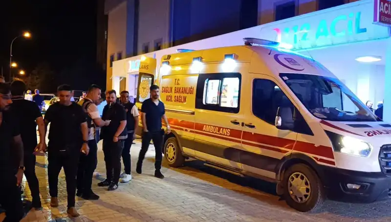 Kavgayı Ayırmaya Çalışan Kardeşin Sonu Korkunç Oldu