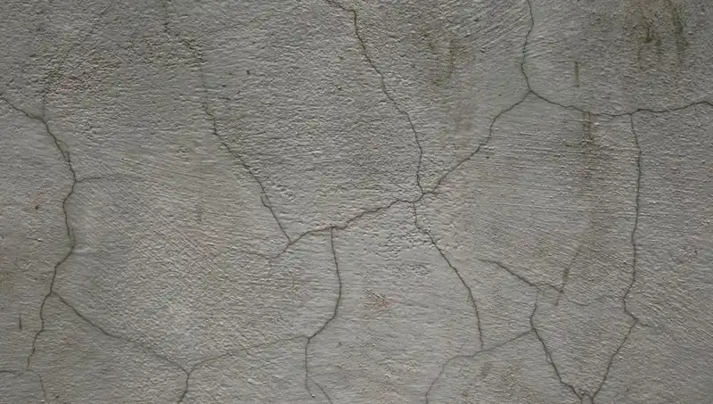 Çatlakları Kendi Kendine Onaran Canlı Beton: Geleceğin Yapı Malzemesi