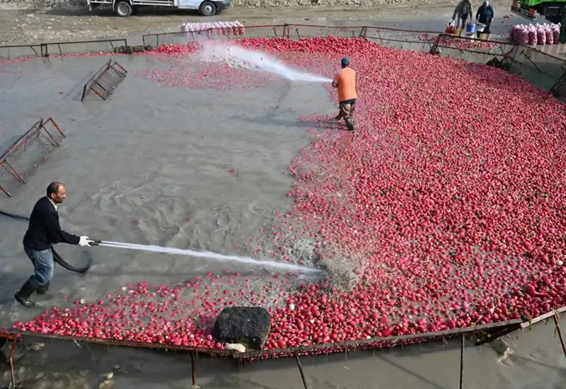 Şifa Deposunun Hasadı: Çamurla Mücadelede Ekonomik ve Sağlık Fırsatları