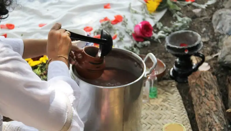Ayahuasca: Şamanik İlaçların Gizemi ve Yasal Durumu