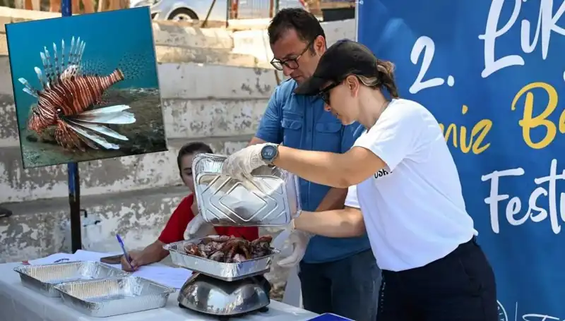 Antalya'da İstila Tehditi: Aslan Balığı Avlama Yarışması Başlıyor!