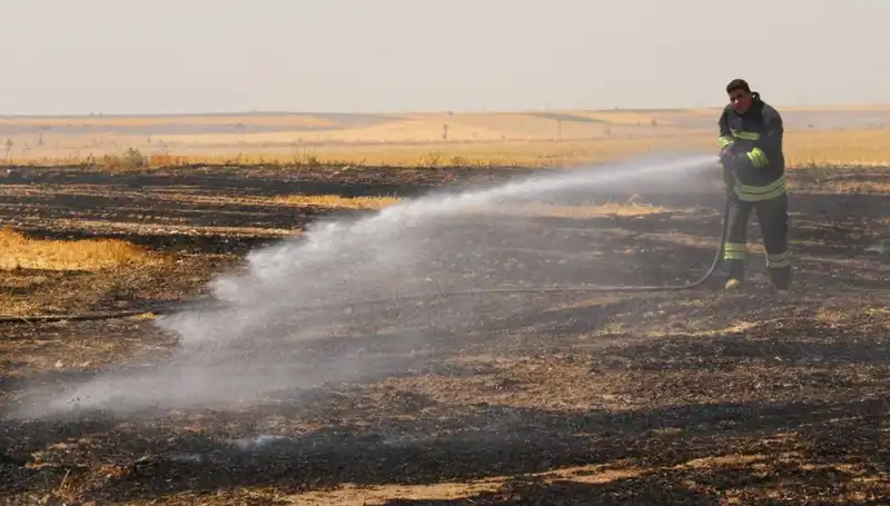 Eskişehir'de Trafo Yangını: Tarım Arazisi Kül Olup Gitti
