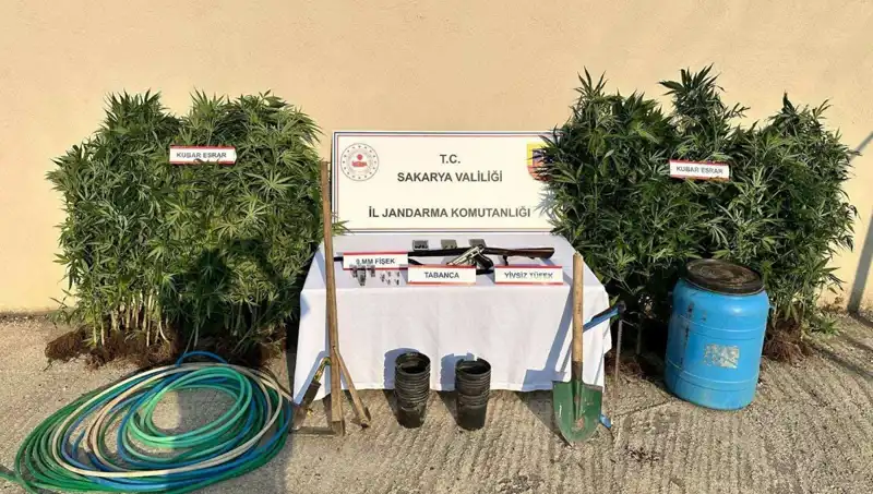 Sakarya'da Büyük Uyuşturucu Operasyonu: Bir Kişi Tutuklandı