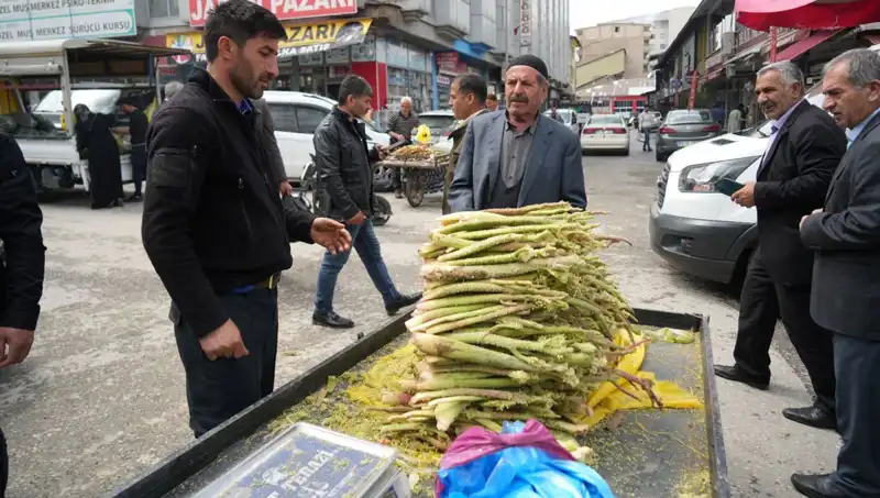 Dağlık Alanlardan Gelen Doğal Şekerin Sağlığa Faydaları Nelerdir?