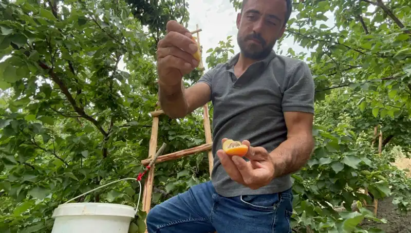 50 TL ile 70 TL Arasında Bulunan ve Damakta Eşsiz Bir Tat Bırakan Lezzet