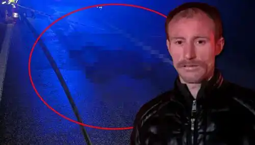 Kamyonetle Ezilen Hayvanın Ölümü, Sürücünün Şok Edici İfadesi