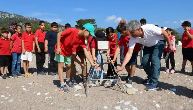 Kemer'de Caretta Caretta Koruma Yasakları Bugün Başladı!