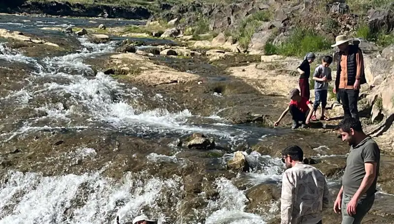 İnci Kefali Göçü: Doğa Harikasına Tanıklık Etmek İsteyen Turistler Akın Etti