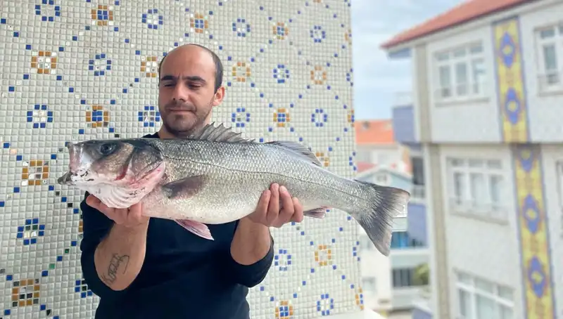 Dev Levrek Avında Tarihi Rekor: 7,5 Kiloluk Balık Ele Geçirildi