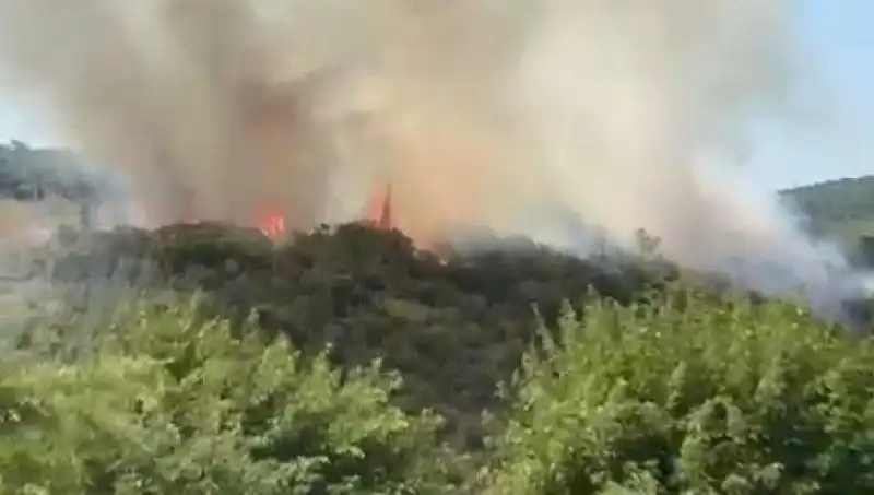 İstanbul'da Orman Yangını: Vatandaşlar Tahliye Ediliyor, Durum Ciddi!
