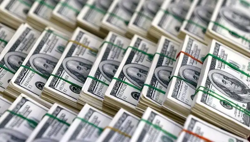Dolar Kurunda Hızla Yükseliş Uyarısı: Ekonomistler Ne Diyor?