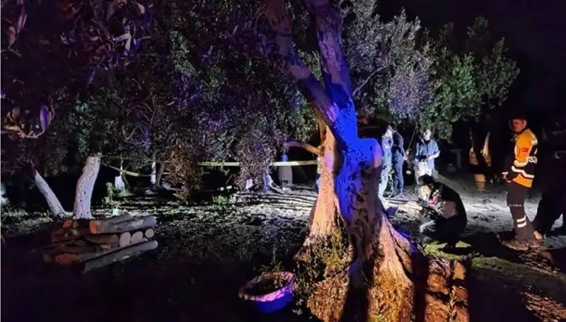 Çiftlikteki Baltalı Vahşet: Sırrı Çözüldü, Bir Kişi Tutuklandı!