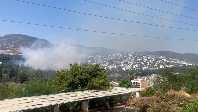 Muğla’daki Orman Yangınları Kontrol Altına Alındı, Zararı Sınırlamak İçin Adımlar Atılıyor