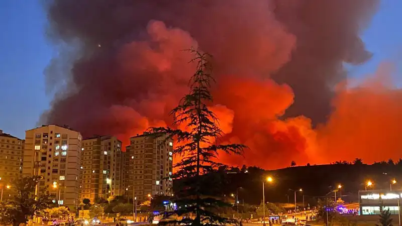 Bursa'da Korkutan Yangınlar: Şehir Alev Alev Yandı, Vatandaşlar Panic Halinde
