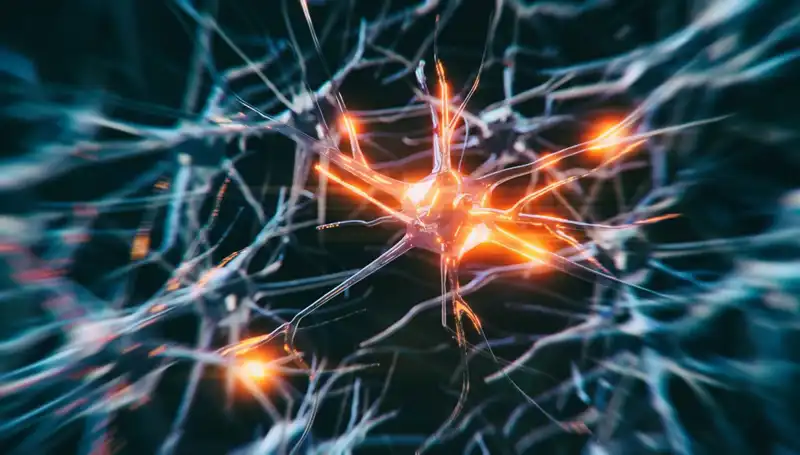 Alzheimer Vakalarındaki Artışın Nedenleri ve Gelecek Öngörüleri