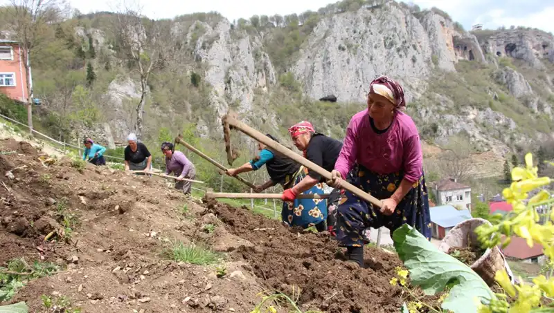 Zorlu Mesai Başladı: Sırtlarda Sepet, Ellerinde Kazmalarla Yeniden Doğuş!