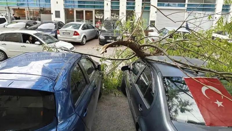 Kayseri'de Dalları Kıran Fırtına: Doğa Savaş Açtı!