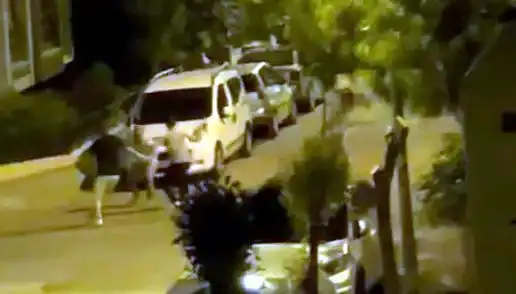 Avcılar'da 3 Kişinin Saldırısına Uğrayan Adam, Çevredekilerin Yardımıyla Kurtarıldı