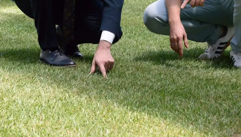 Stadyum Zemini Hakkında Tartışmalar: Son Durum ve Beklentiler