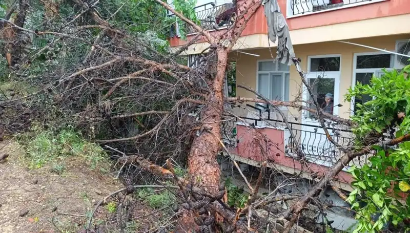 Yağışlar Kontrolü Aştı: Binanın Üzerine Devrilen Ağaç Alarm Verdi