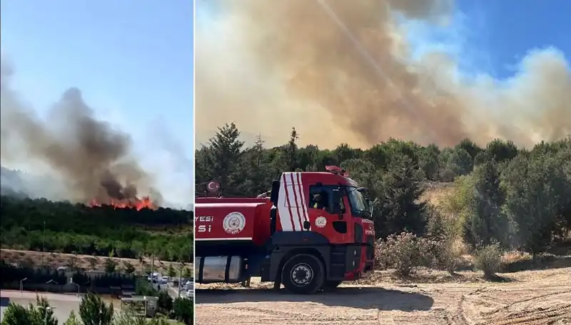 Gebze'de Orman Yangını: Vatandaşlar Tahliye Edildi, Ekipler Seferber Oldu