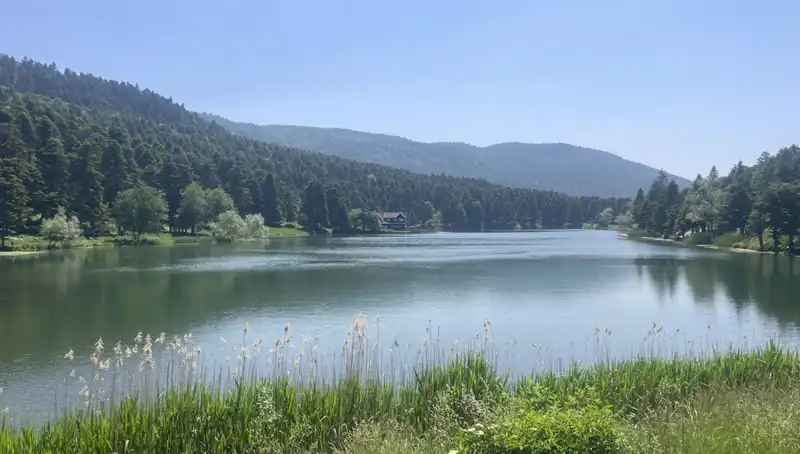 Bolu’nun Doğal Güzelliklerine Eşsiz İlgi: Milli Parklar Ziyaretçi Akınına Uğradı