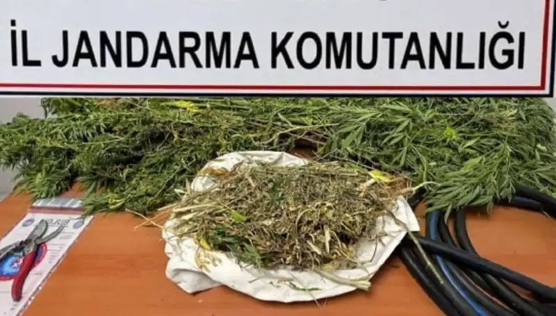 Niğde'de Uyuşturucu Operasyonu: Yakalanan Şüpheliler ve Ele Geçirilen Uyuşturucu Miktarı