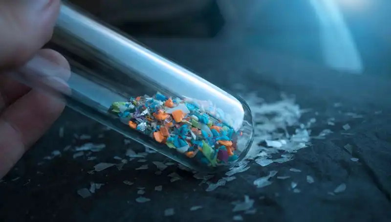 Mikroplastikler İnsan Beynine Ulaştı: Sağlığımızı Nasıl Tehdit Ediyor?