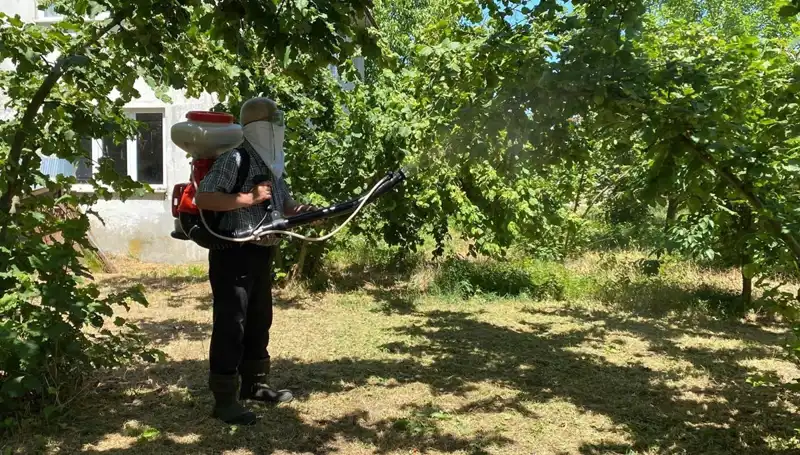 Çiftçinin Umutları Kükürt ve Samuray Arısıyla Yeşeriyor